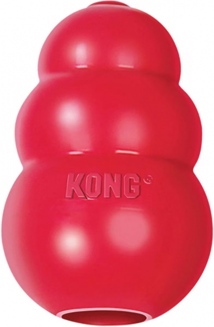 kong toy red
